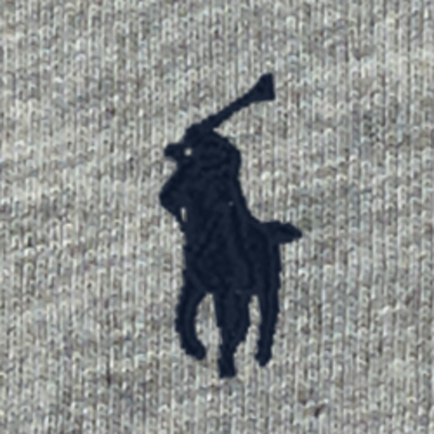 RALPH LAUREN KATOENEN JERSEY T SHIRT MET RONDE HALS